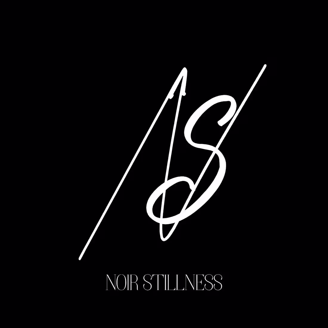 Cover image for Official Brand Identity for "noir