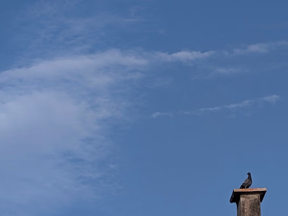 Cover image for The Boundless Sky