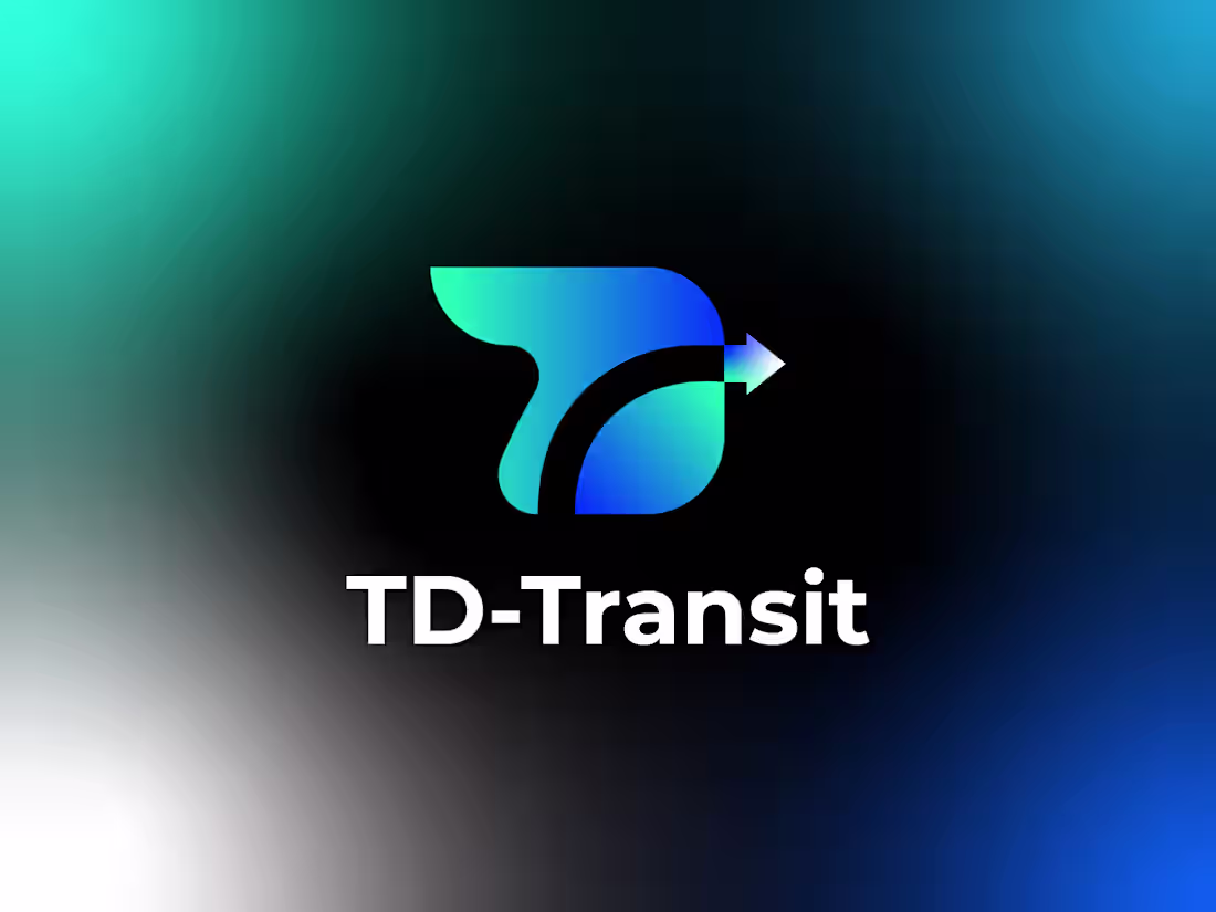 Cover image for TD-Transit is a modern logistics