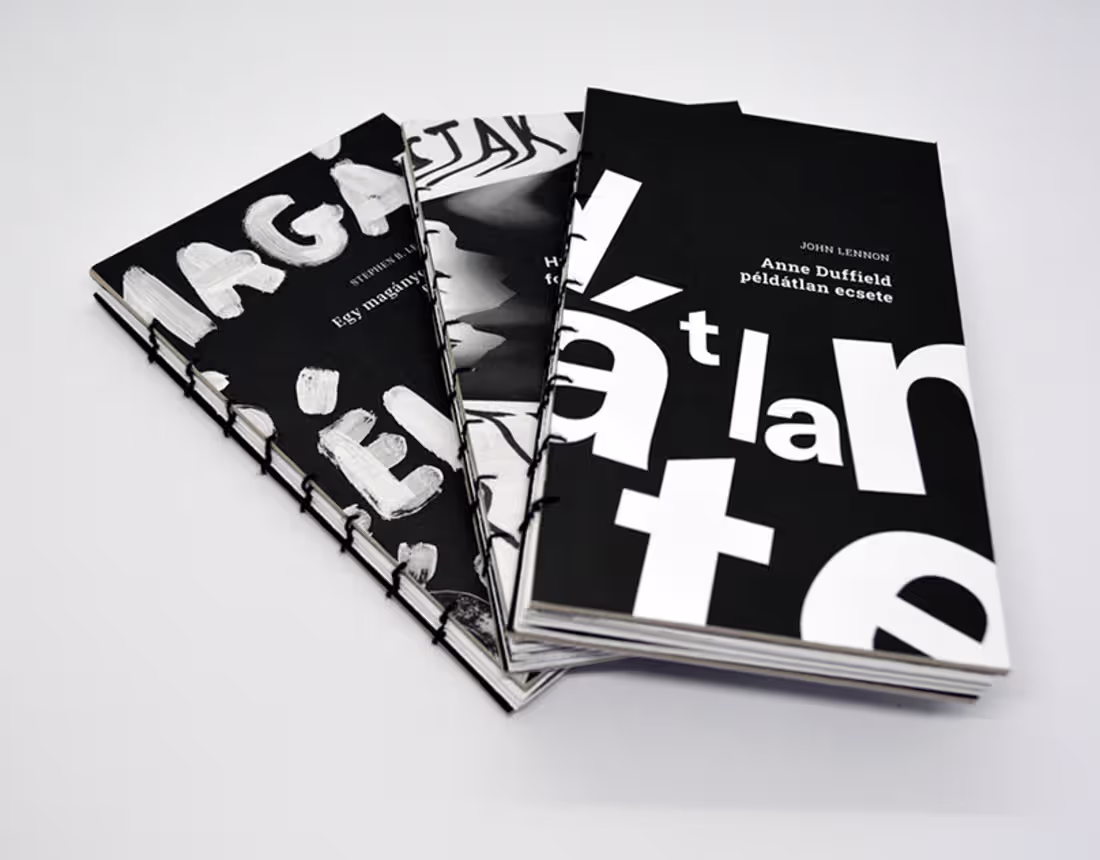 Cover image for Experimental typography book series on Behance