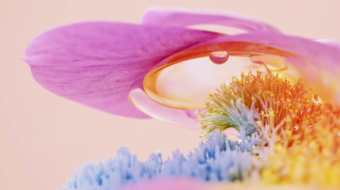 Cover image for Colorful exploration.