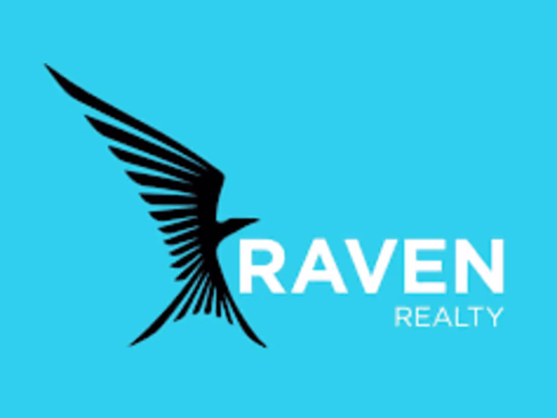 Cover image for Raven Realty 