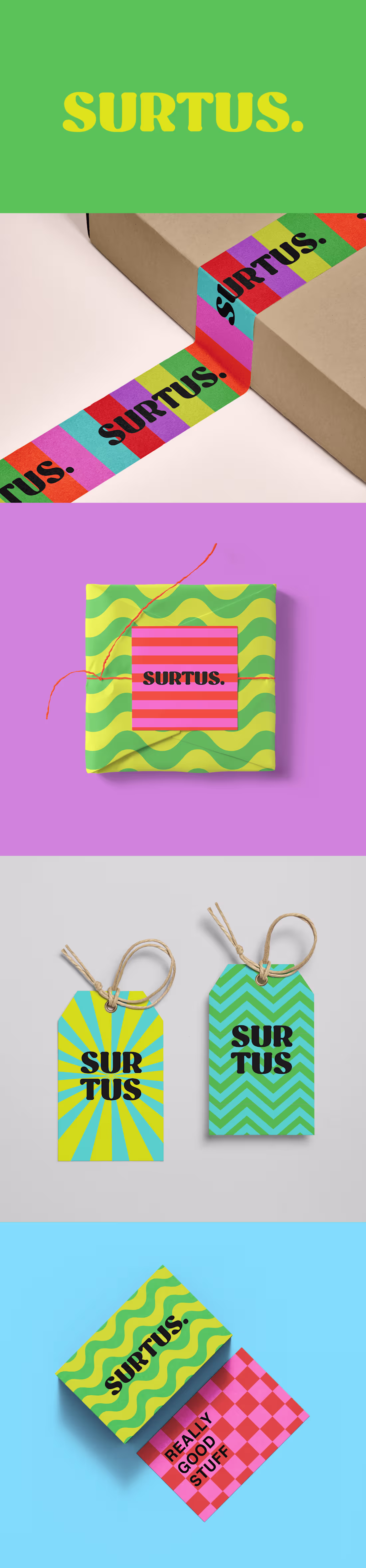 Cover image for SURTUS
