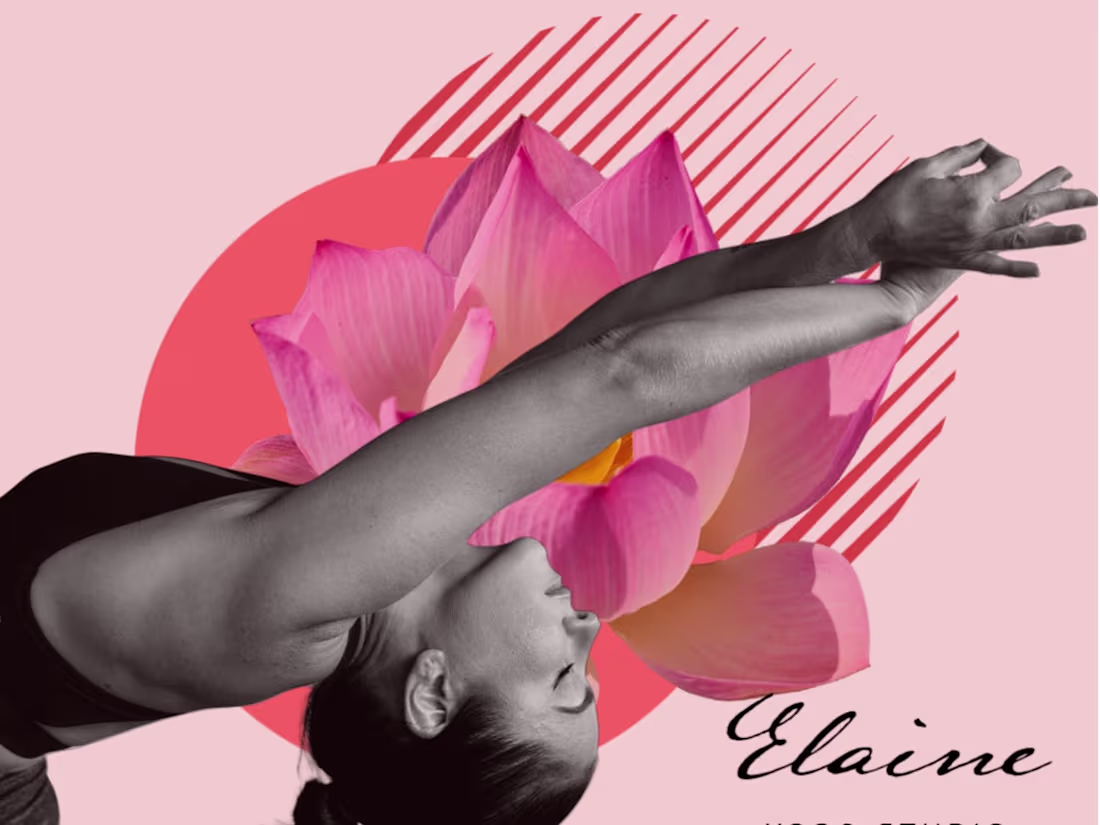 Cover image for Yogi Aesthetic
