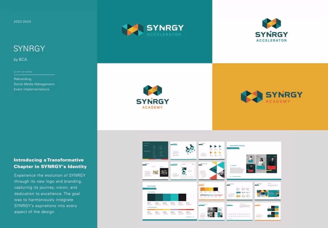 Cover image for Experience the evolution of SYNRGY
