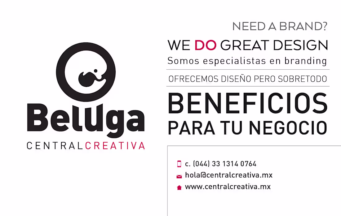 Cover image for Branding Project