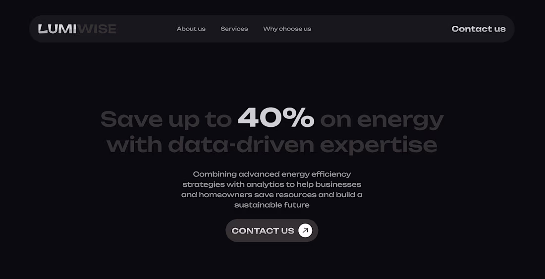 Cover image for LumiWise website design
