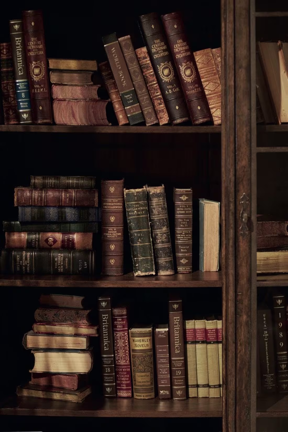 Cover image for The Benefits of Reading Books
Reading