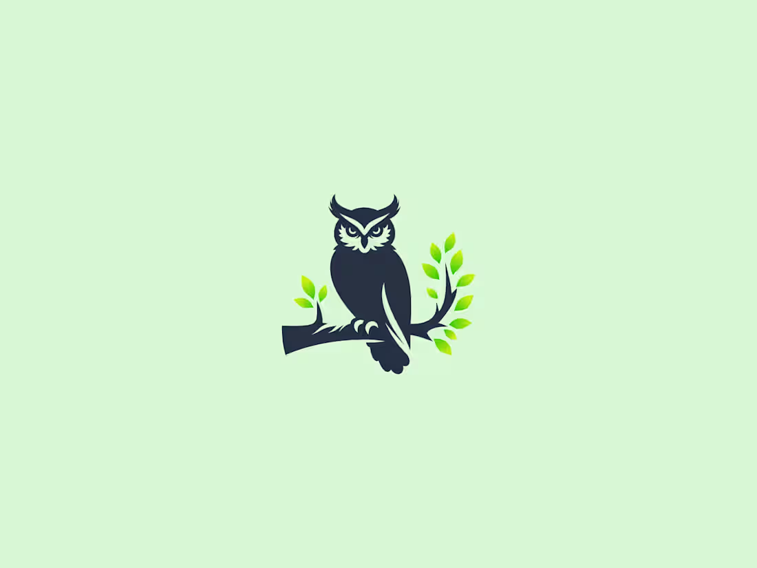 Cover image for Owl Logo Available For Purchase