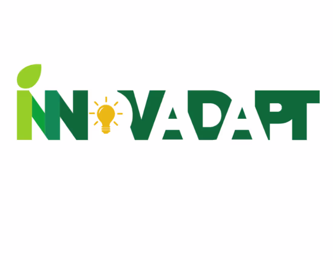 Cover image for Video Recap INNOVADAPT