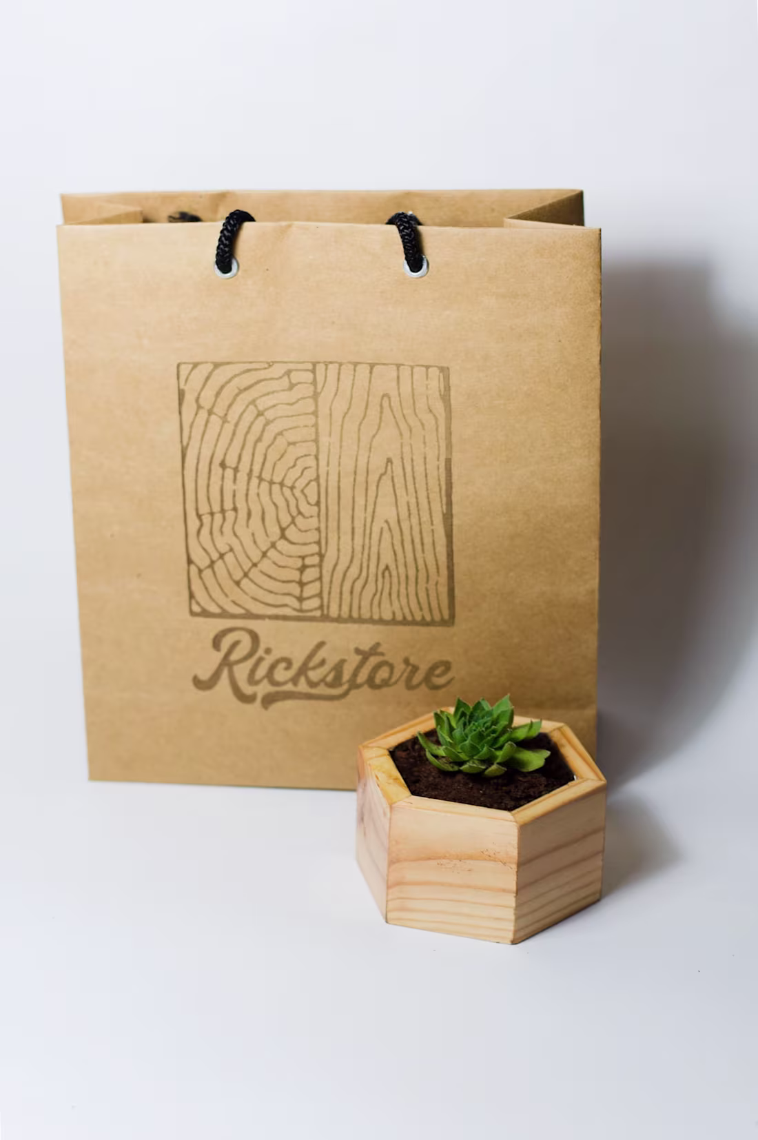 Cover image for Rickstore - Logo, Branding + Social Media