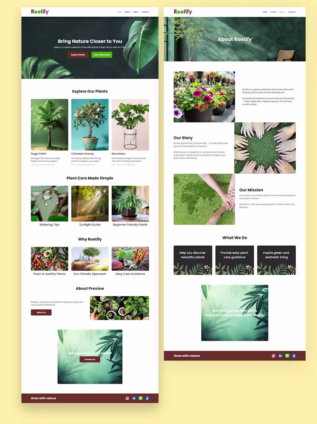 Cover image for Rootify – Clean & Minimal