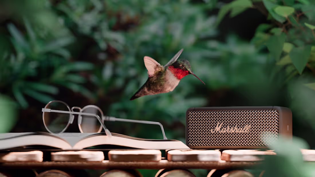 Cover image for Marshall Speaker with Humming Bird