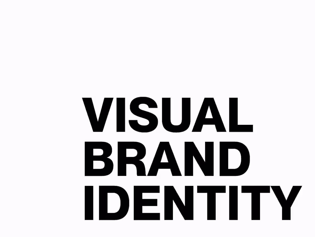 Cover image for Visual Brand Identity