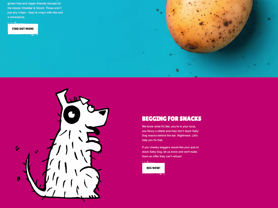 Cover image for Salty Dog Brands Shopify Redesign