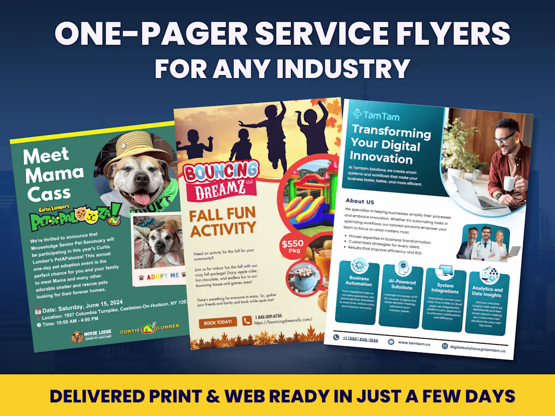 Cover image for One Page Flyer