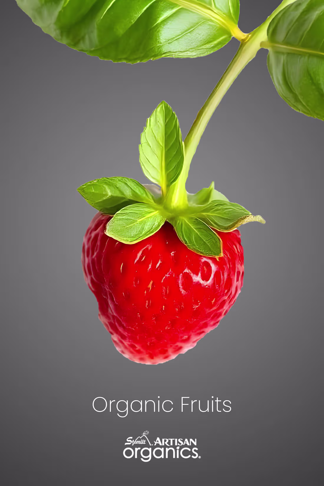 Cover image for Social Media posts