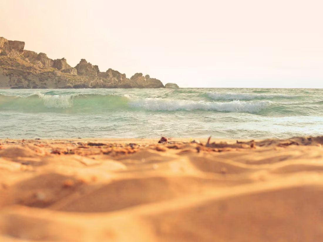 Cover image for Clearing 2 humans from beach