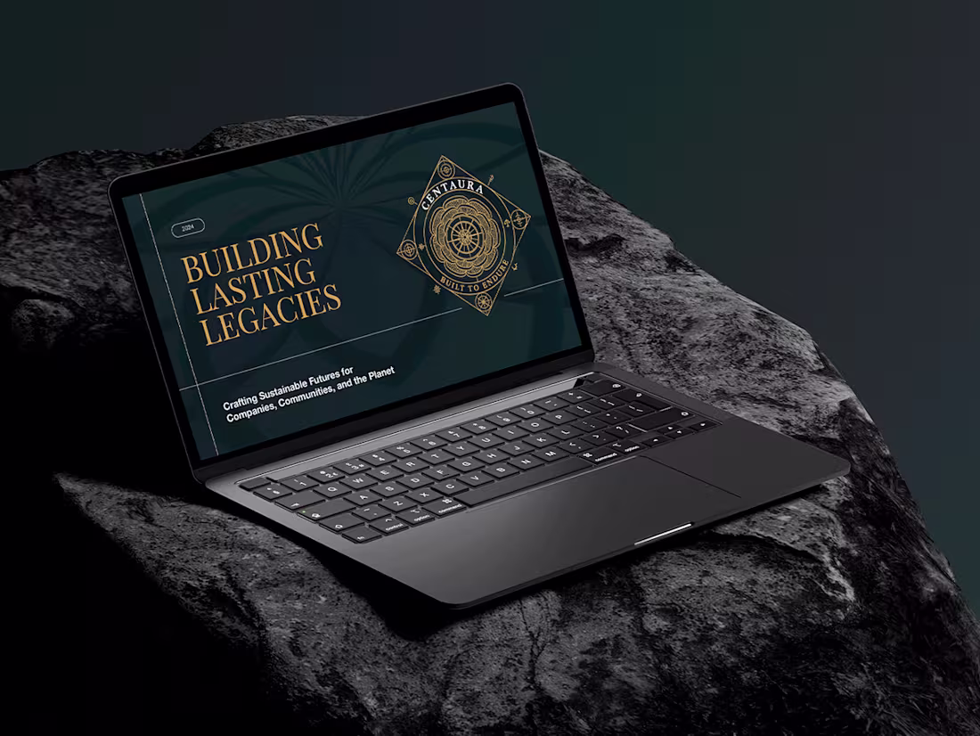Cover image for A business presentation designed to
