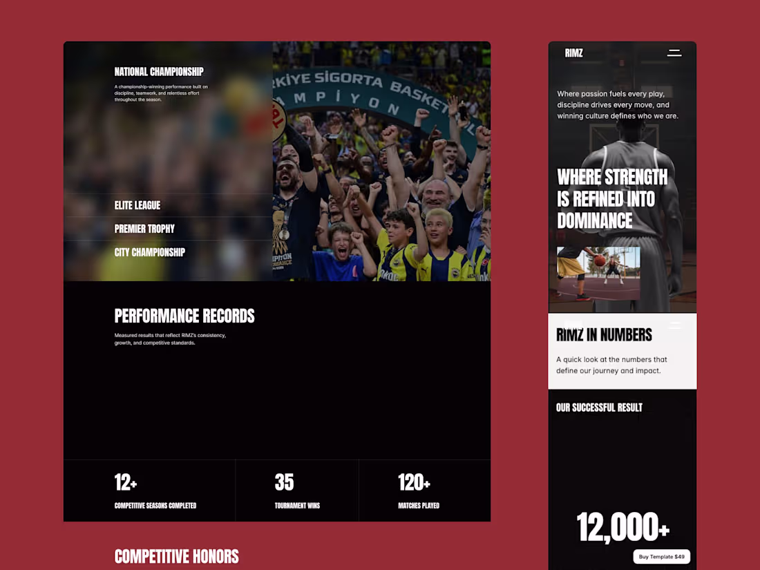 Cover image for Sports websites should capture the
