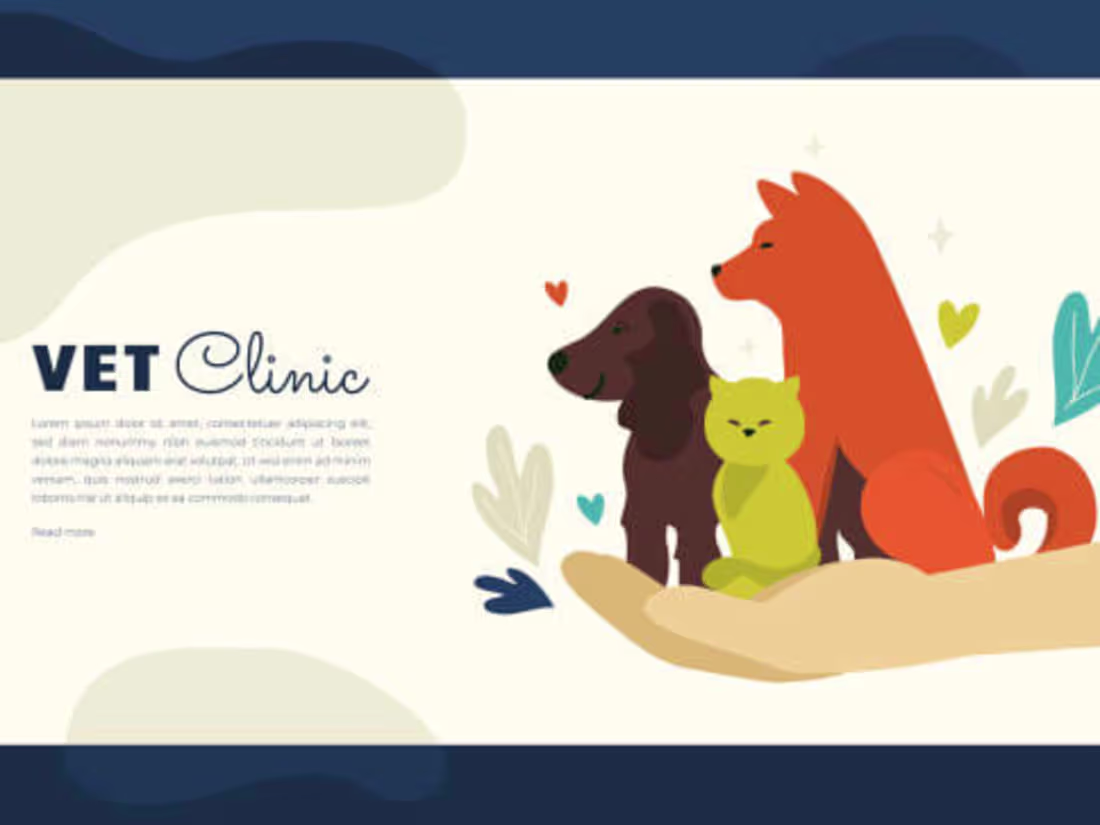 Cover image for Best Vet Clinic