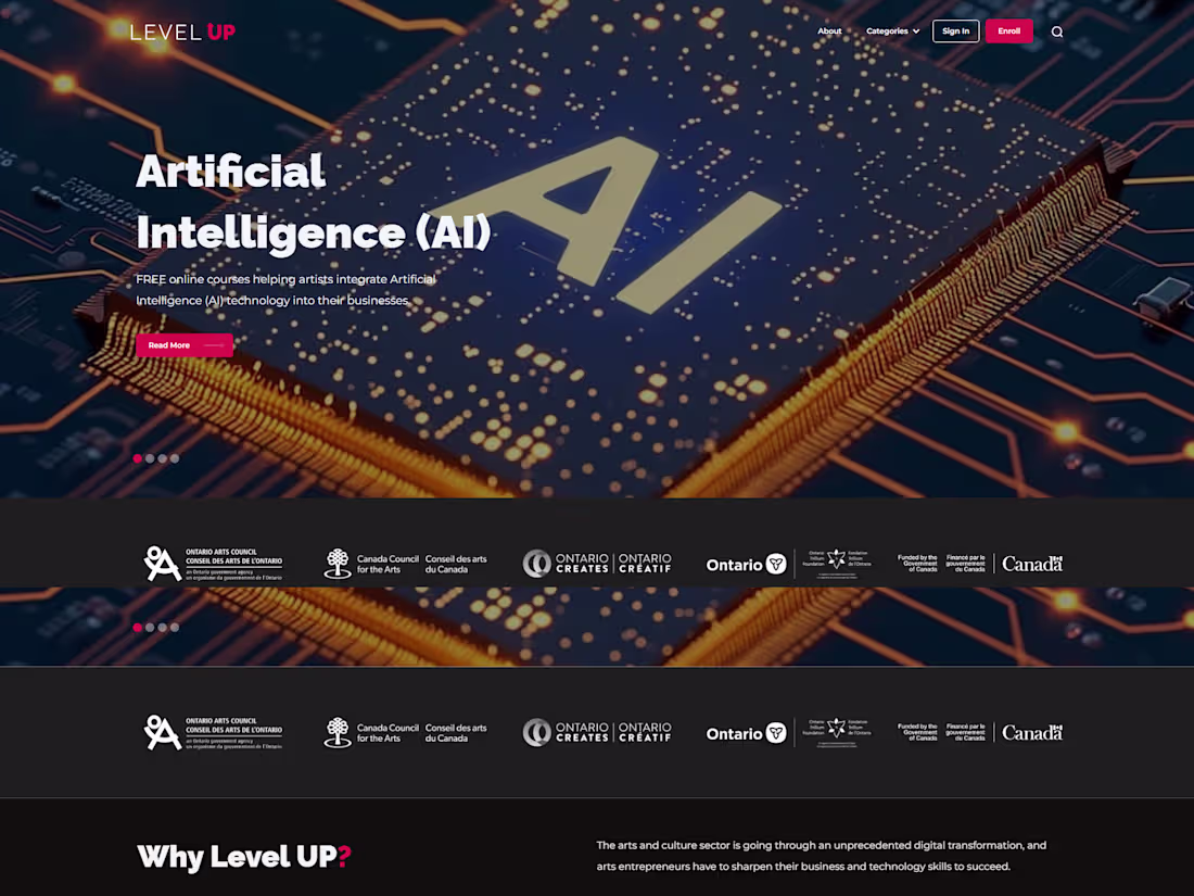 Cover image for Website Build for LevelUp Arts