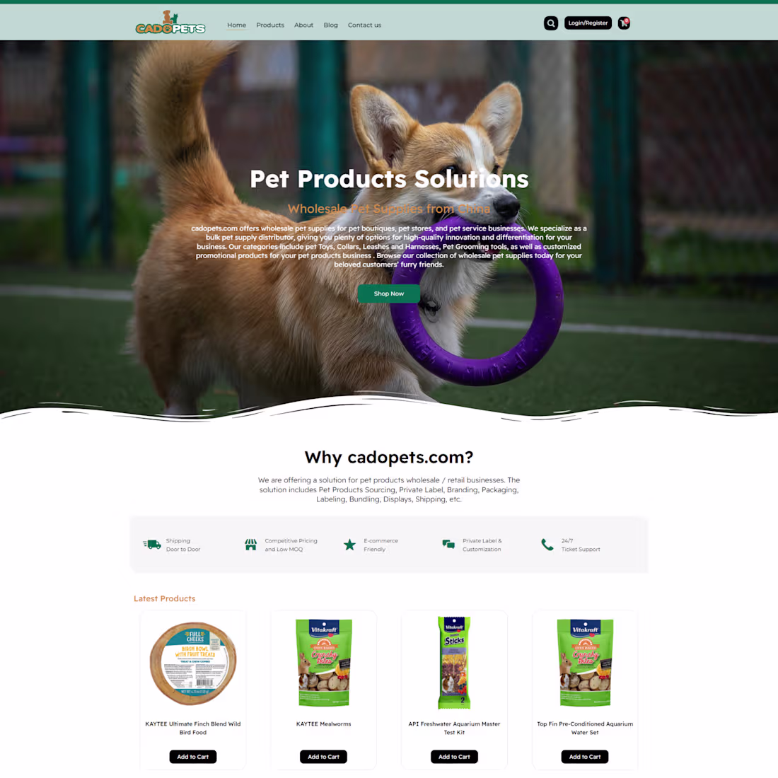 Cover image for Woocommerce Ecommerce Store