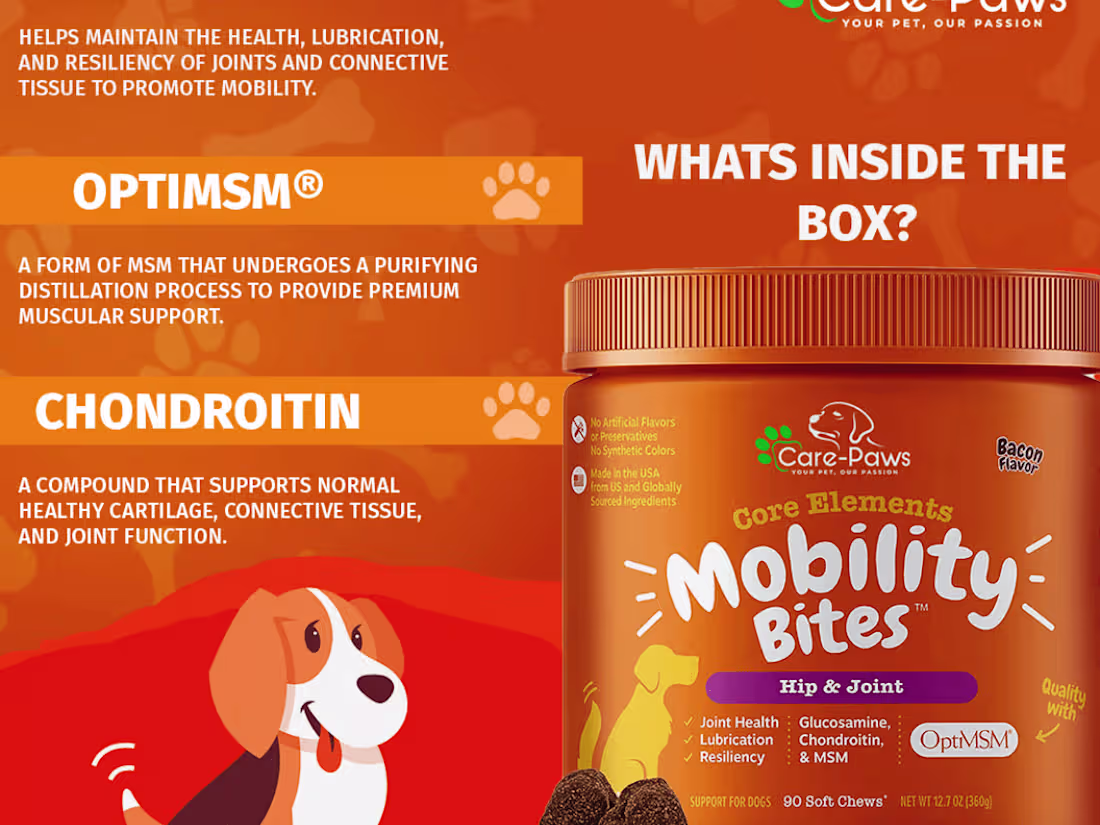 Cover image for Social Media Marketing  for Care Paws