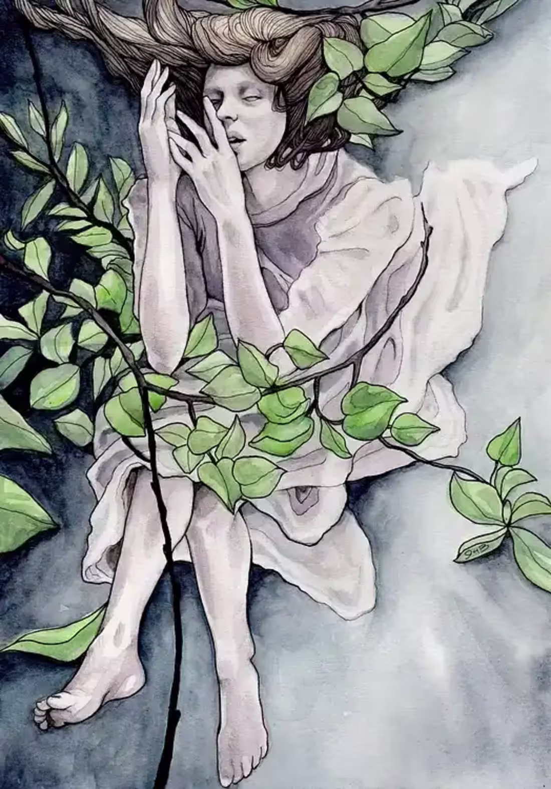 Cover image for The Plunge