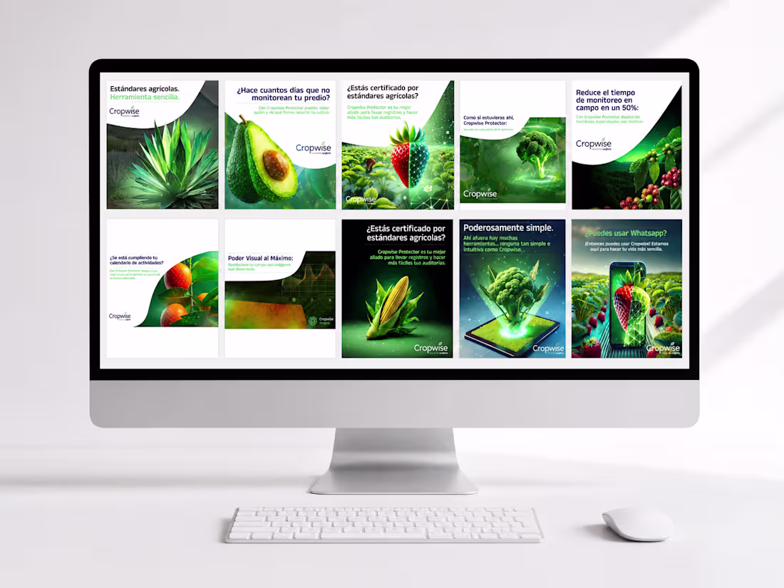 Cover image for Digital agriculture campaign for crpwise