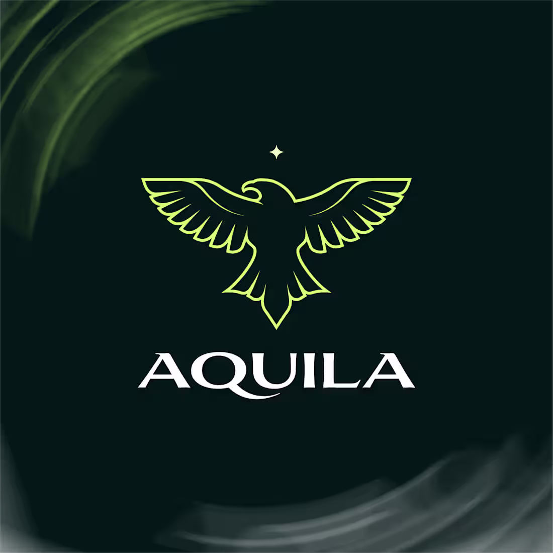 Cover image for Aquila — logo design