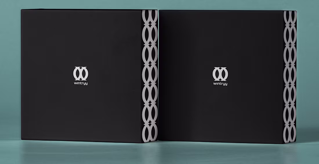 Cover image for Wintryy | Brand Identity | 2021