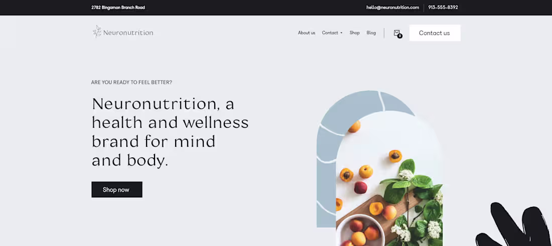 Cover image for At Neuronutrition, a brand dedicated