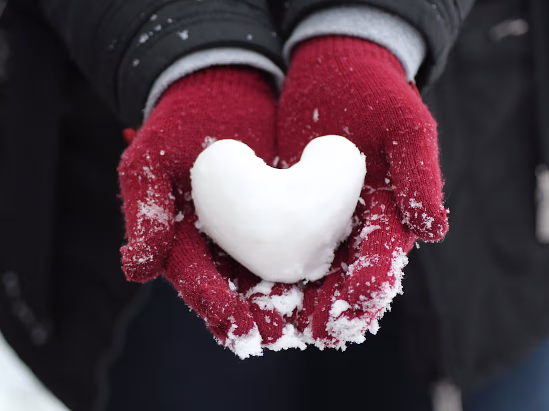 Cover image for Email Newsletter | Ashlee Sorensen