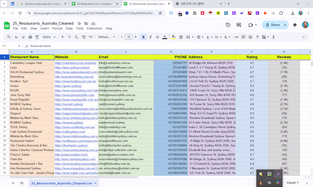 Cover image for Data Entry & Lead Generation Project ✔ Collected accurate co...