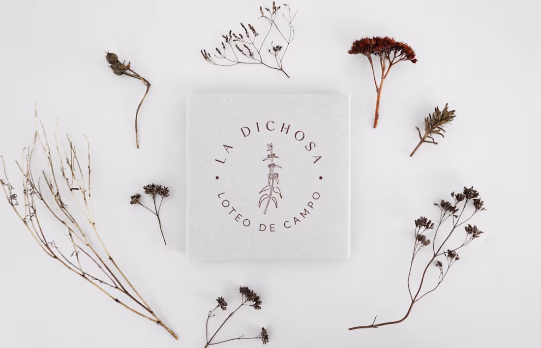 Cover image for “La Dichosa Loteo de Campo”