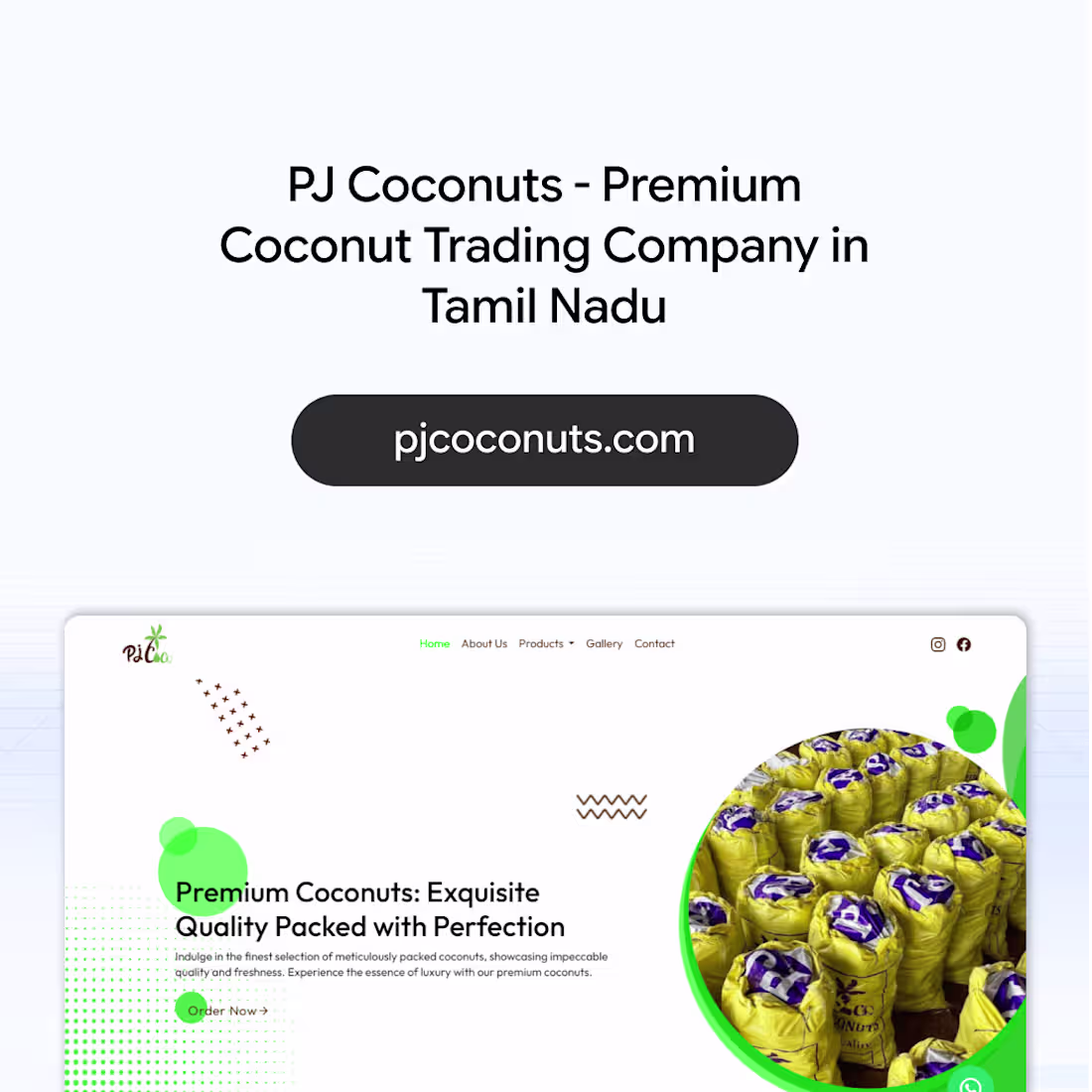 Cover image for PJ Coconuts - Business Website