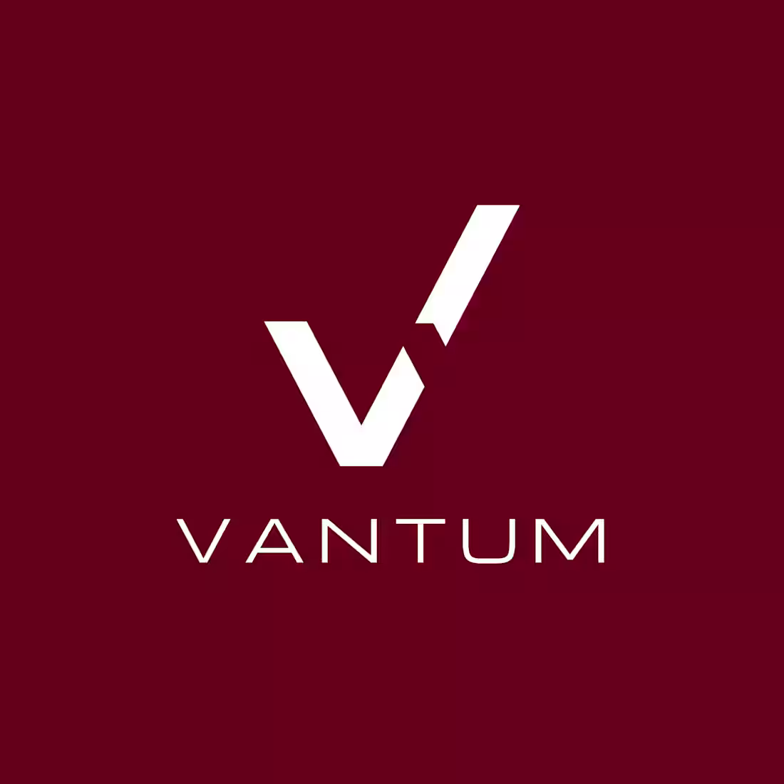 Cover image for Vantum a high tech company