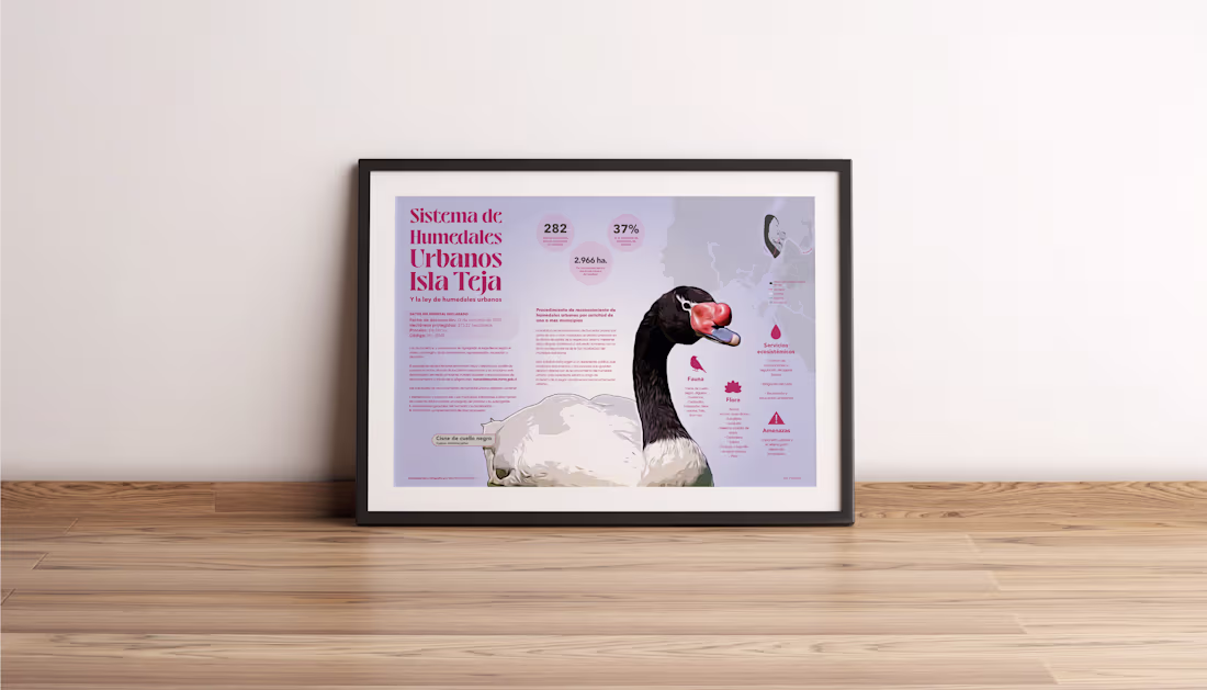 Cover image for Ley de Humedales Urbanos | Infographic