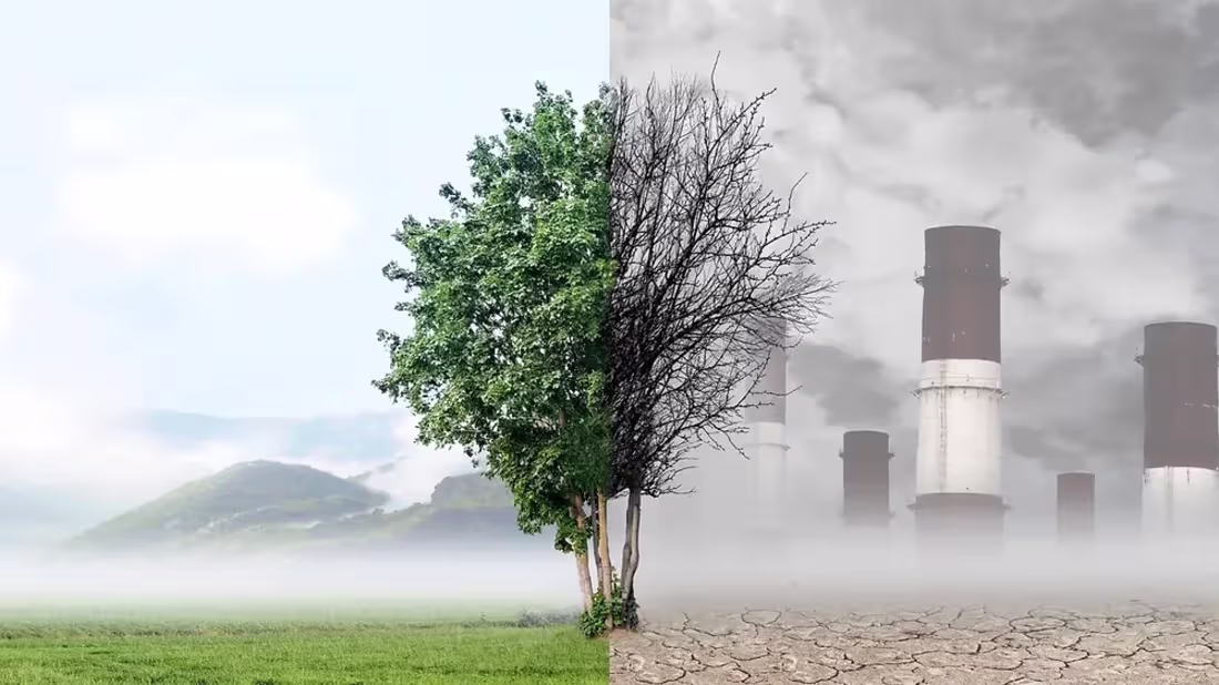 Cover image for Air Pollution: A Preventable Health Risk