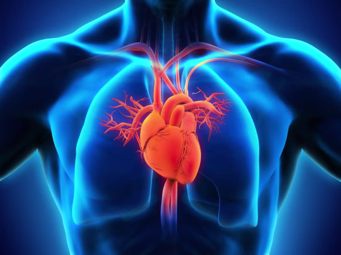 Cover image for GitHub - MorisDe/Heart-Failure-Prediction-with-87-Accuracy