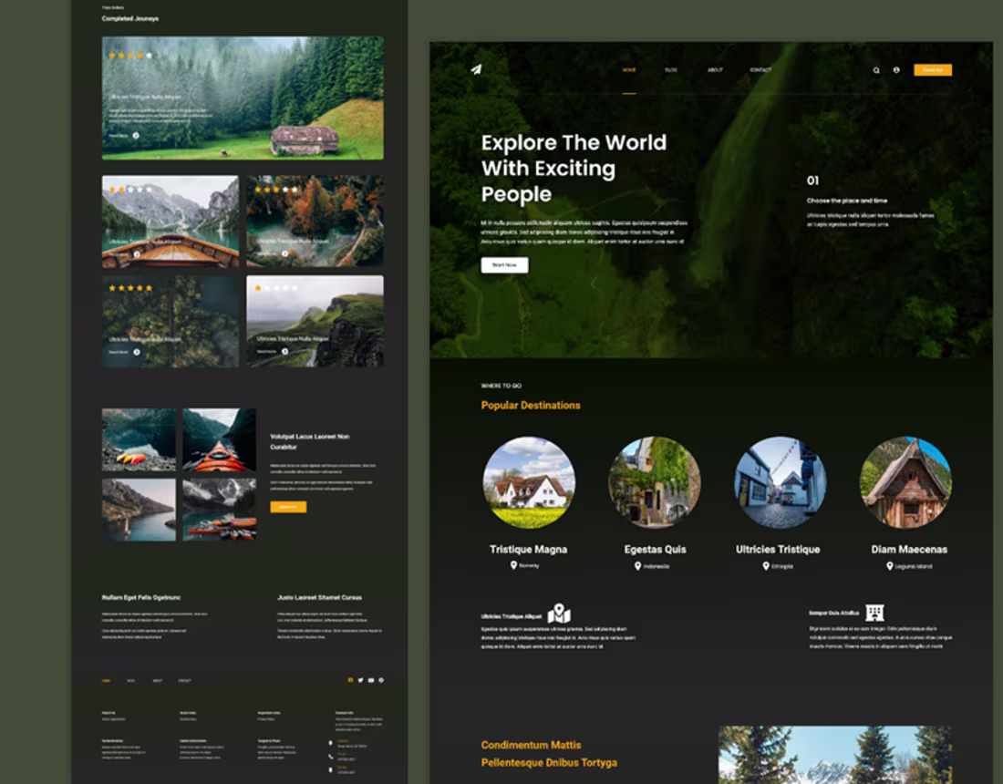Cover image for Travel & Trip Business Adobe XD Template