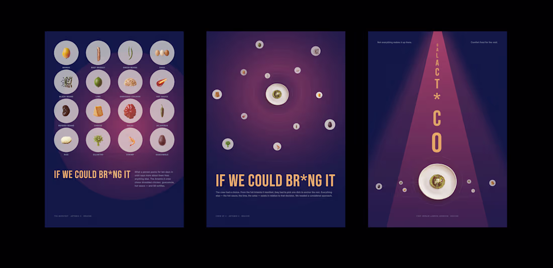 Cover image for IF WE COULD BR*NG IT