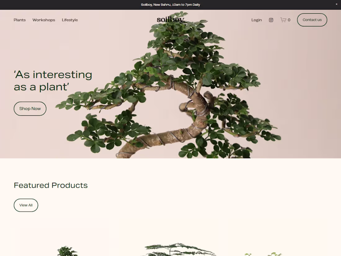 Cover image for Soilboy E-commerce Website Design & Optimization
