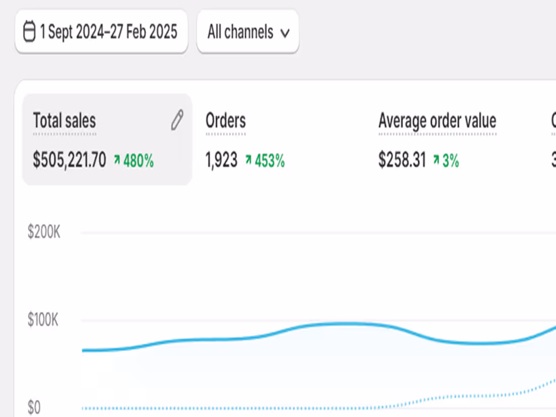 Cover image for Scaled New E-Com Brand to $505K in 6 Months via Google Ads