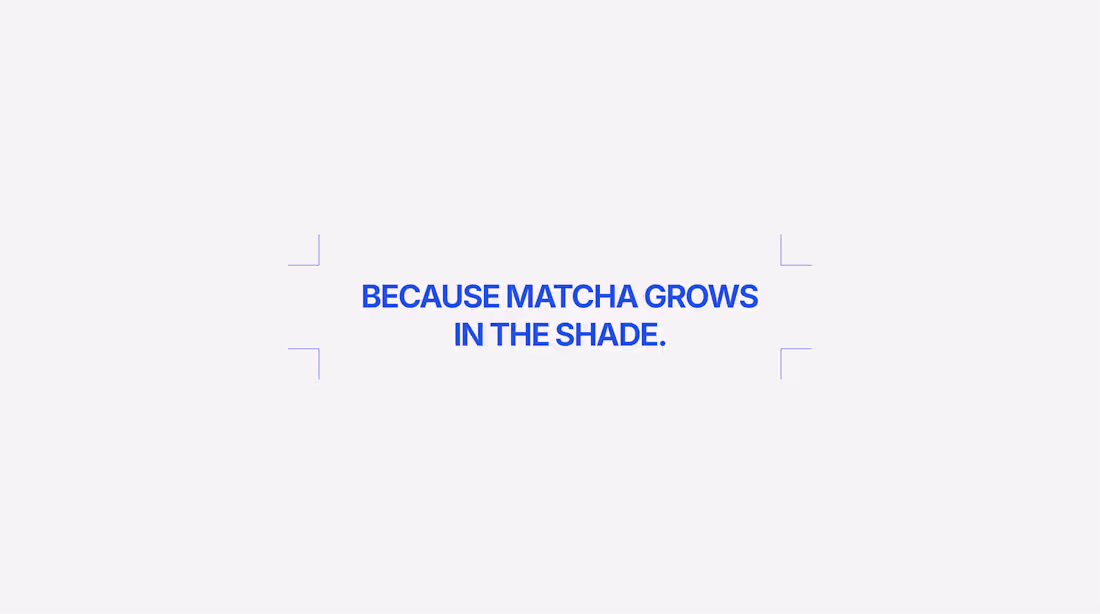 Cover image for Shēdo Matcha Brand Identity Development