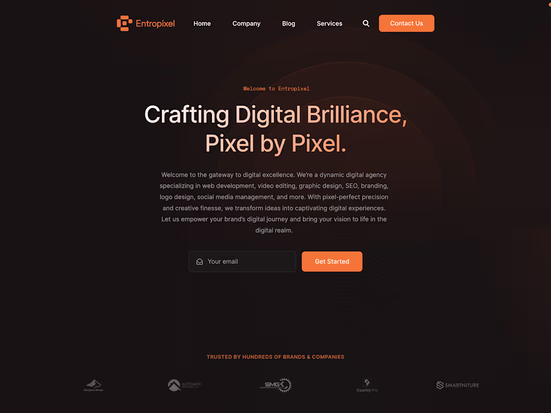 Cover image for Entropixel Agency Website Development