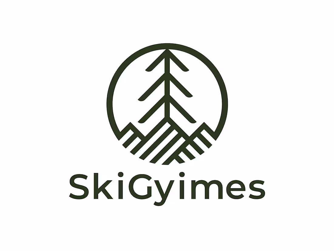 Cover image for SkiGyimes is a logo and