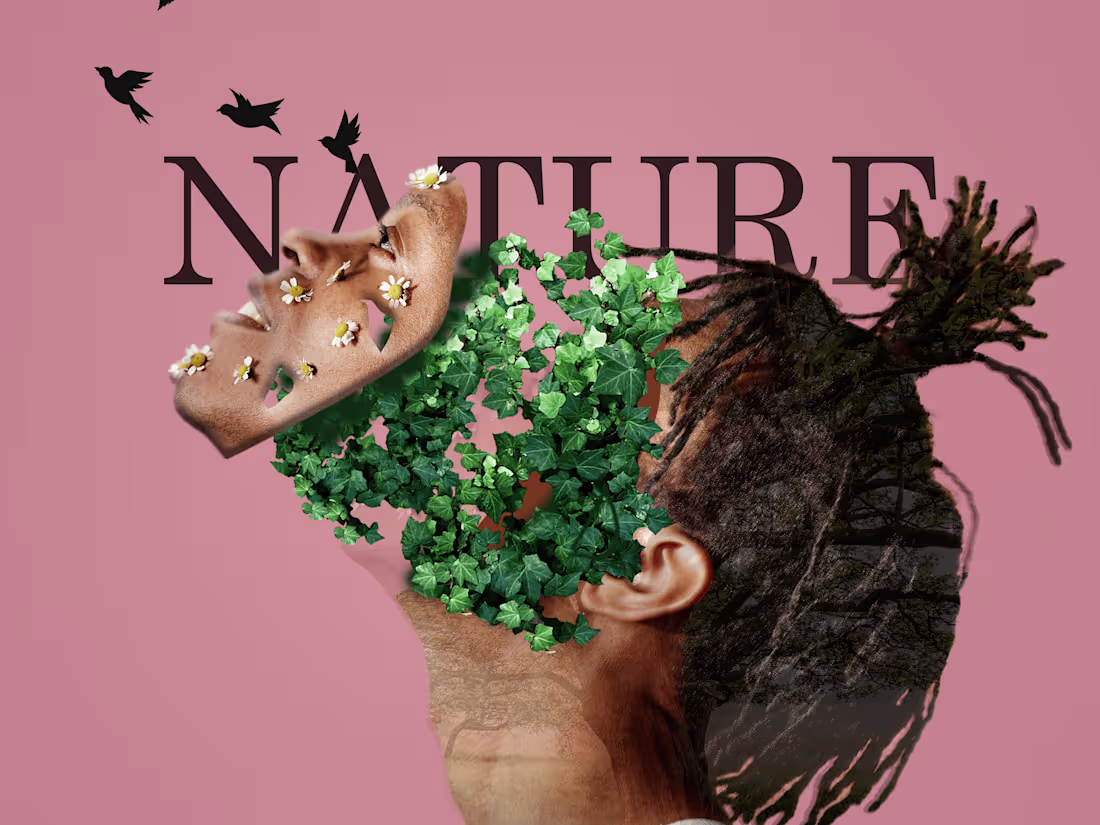 Cover image for Designer