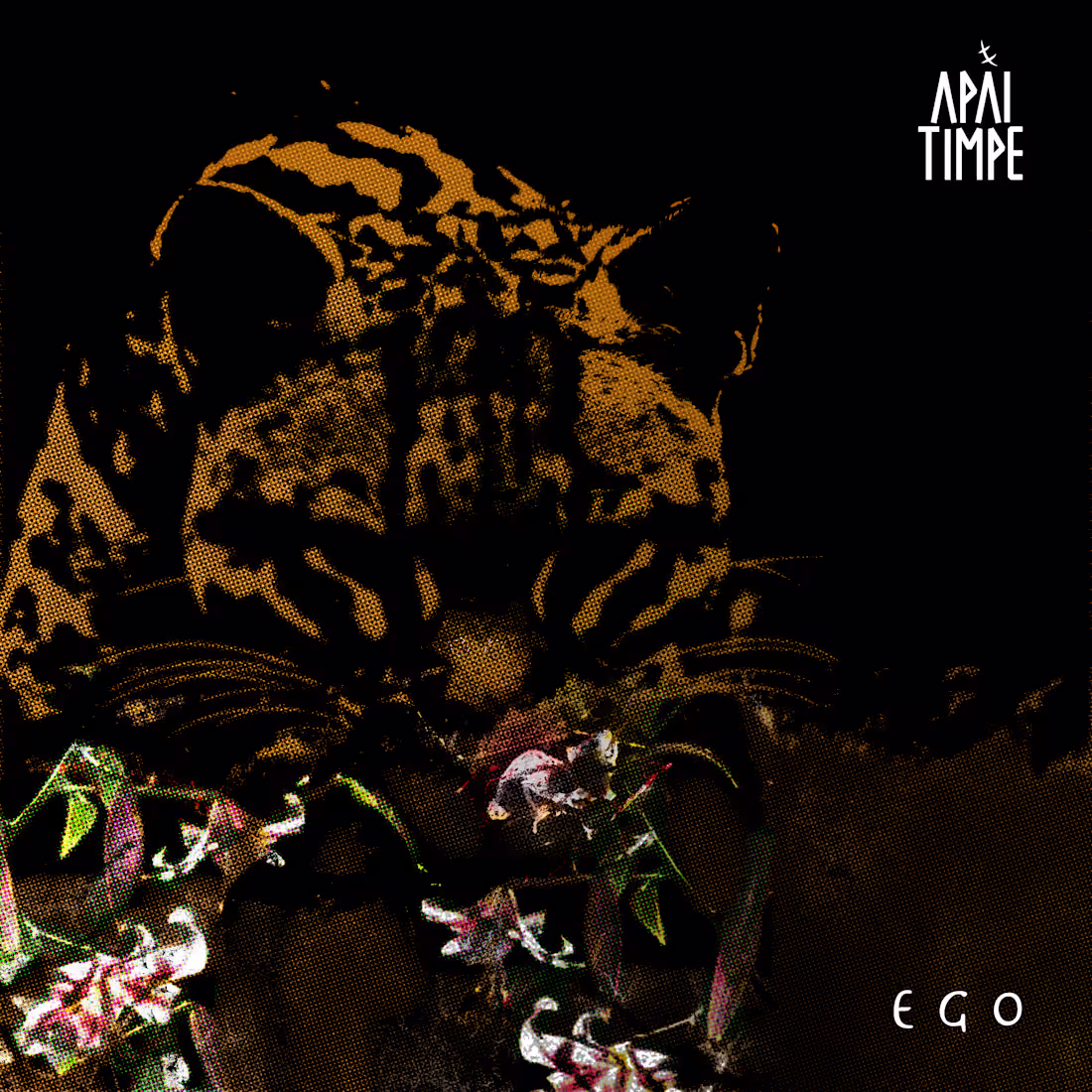 Cover image for © Apái Timpe [ concept art + motion design ]